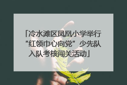 冷水滩区凤凰小学举行“红领巾心向党”少先队入队考核闯关活动