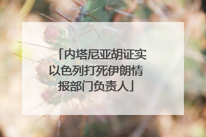 内塔尼亚胡证实以色列打死伊朗情报部门负责人