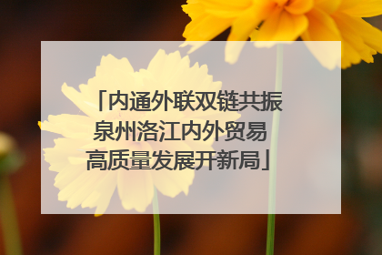 内通外联双链共振 泉州洛江内外贸易高质量发展开新局