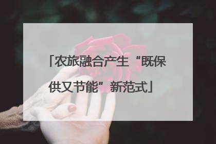 农旅融合产生“既保供又节能”新范式