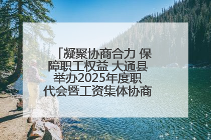 凝聚协商合力 保障职工权益 大通县举办2025年度职代会暨工资集体协商现场观摩交流活动