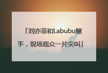刘亦菲和Labubu握手，现场观众一片尖叫