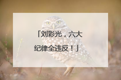 刘彩光，六大纪律全违反！
