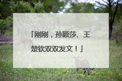 刚刚，孙颖莎、王楚钦双双发文！
