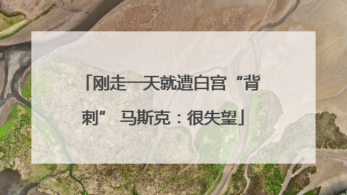 刚走一天就遭白宫“背刺” 马斯克：很失望