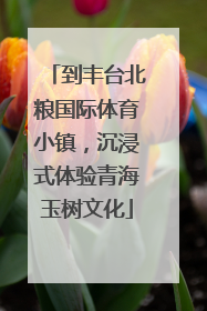 到丰台北粮国际体育小镇，沉浸式体验青海玉树文化
