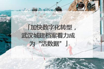 加快数字化转型，武汉城建档案着力成为“活数据”