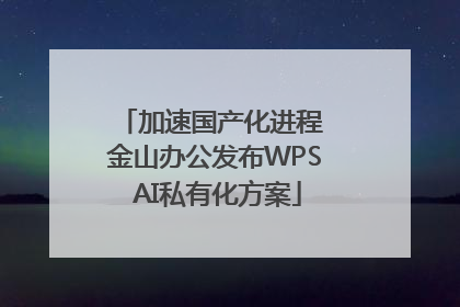 加速国产化进程 金山办公发布WPS AI私有化方案