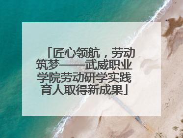 匠心领航，劳动筑梦——武威职业学院劳动研学实践育人取得新成果