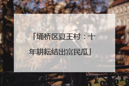 埇桥区夏王村：十年耕耘结出富民瓜