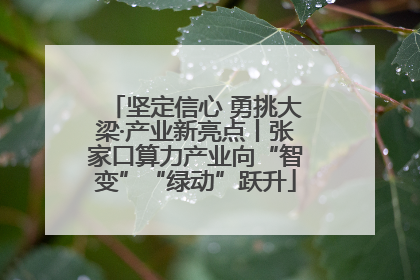 坚定信心 勇挑大梁·产业新亮点丨张家口算力产业向“智变”“绿动”跃升