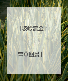 坡岭流金：萱草图景