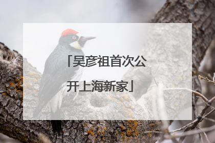 吴彦祖首次公开上海新家
