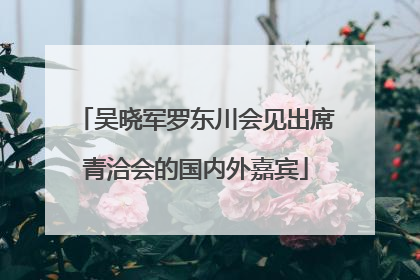 吴晓军罗东川会见出席青洽会的国内外嘉宾