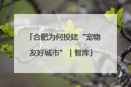 合肥为何投建“宠物友好城市”｜智库