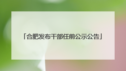 合肥发布干部任前公示公告