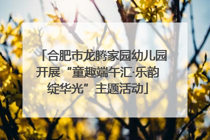 合肥市龙腾家园幼儿园开展“童趣端午汇·乐韵绽华光”主题活动