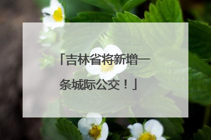 吉林省将新增一条城际公交！