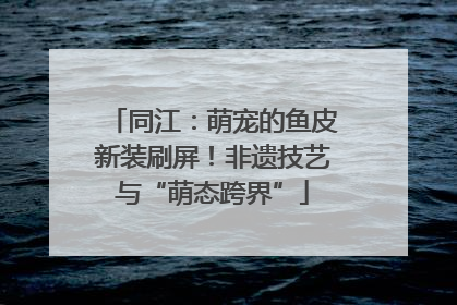 同江：萌宠的鱼皮新装刷屏！非遗技艺与“萌态跨界”