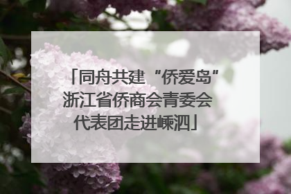 同舟共建“侨爱岛” 浙江省侨商会青委会代表团走进嵊泗