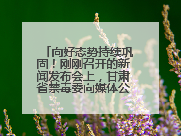 向好态势持续巩固！刚刚召开的新闻发布会上，甘肃省禁毒委向媒体公布三年禁毒工作“成绩单”