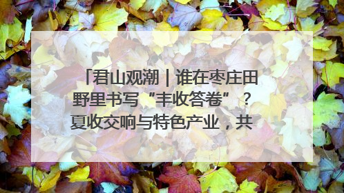 君山观潮｜谁在枣庄田野里书写“丰收答卷”？夏收交响与特色产业，共绘乡村振兴新图景