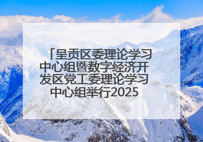 呈贡区委理论学习中心组暨数字经济开发区党工委理论学习中心组举行2025年第七次学习会议