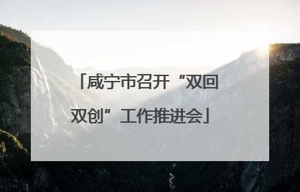 咸宁市召开“双回双创”工作推进会