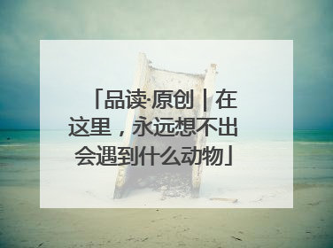 品读·原创｜在这里，永远想不出会遇到什么动物