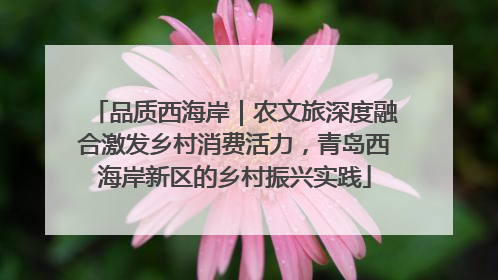 品质西海岸｜农文旅深度融合激发乡村消费活力，青岛西海岸新区的乡村振兴实践