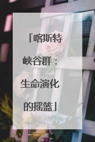 喀斯特峡谷群：生命演化的摇篮