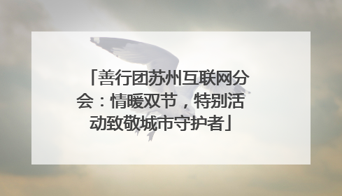 善行团苏州互联网分会：情暖双节，特别活动致敬城市守护者