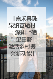 嘉禾县珠泉镇富硒村：深耕“硒”望田野 激活乡村振兴新动能