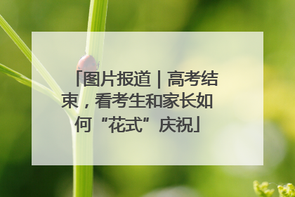 图片报道｜高考结束，看考生和家长如何“花式”庆祝