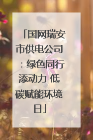 国网瑞安市供电公司：绿色同行添动力 低碳赋能环境日