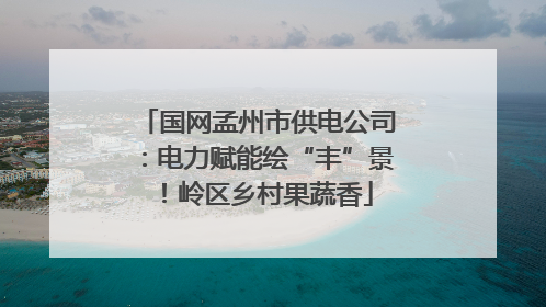 国网孟州市供电公司：电力赋能绘“丰”景！岭区乡村果蔬香