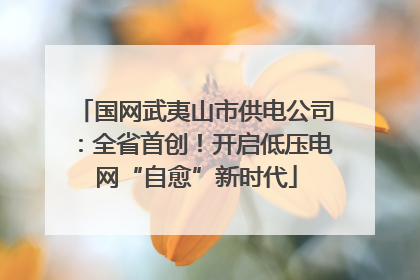 国网武夷山市供电公司：全省首创！开启低压电网“自愈”新时代