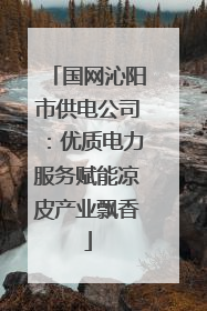 国网沁阳市供电公司：优质电力服务赋能凉皮产业飘香
