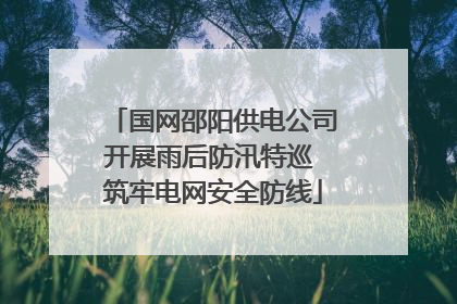 国网邵阳供电公司开展雨后防汛特巡 筑牢电网安全防线