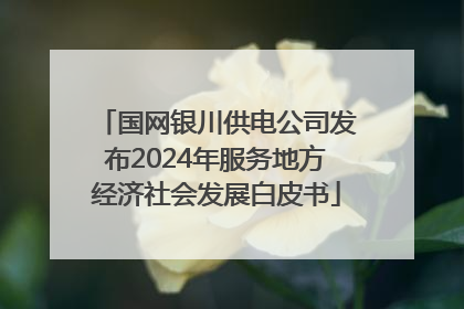 国网银川供电公司发布2024年服务地方经济社会发展白皮书