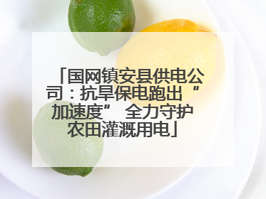 国网镇安县供电公司：抗旱保电跑出“加速度” 全力守护农田灌溉用电