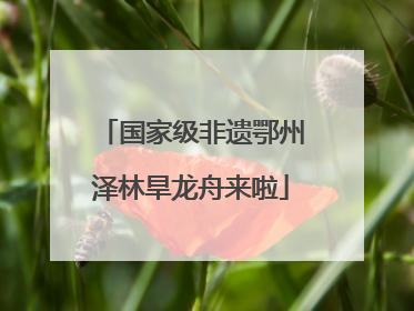 国家级非遗鄂州泽林旱龙舟来啦