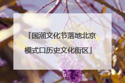 国潮文化节落地北京模式口历史文化街区