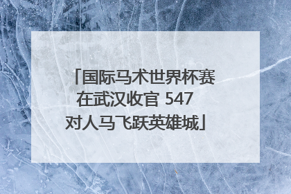 国际马术世界杯赛在武汉收官 547对人马飞跃英雄城