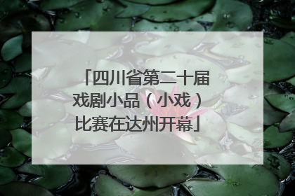 四川省第二十届戏剧小品（小戏）比赛在达州开幕