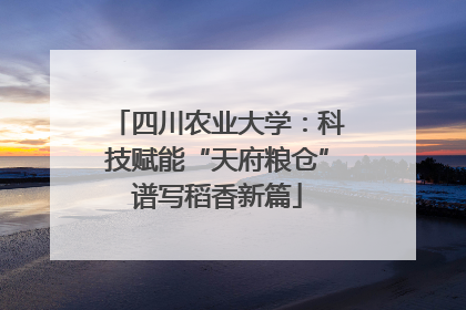 四川农业大学：科技赋能“天府粮仓”谱写稻香新篇