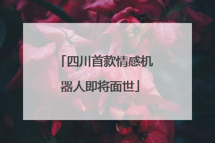 四川首款情感机器人即将面世