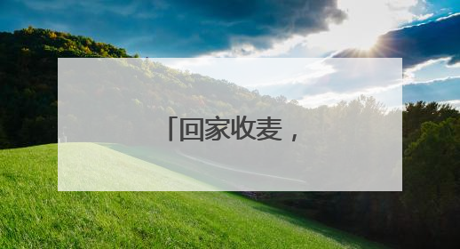 回家收麦，是个大事