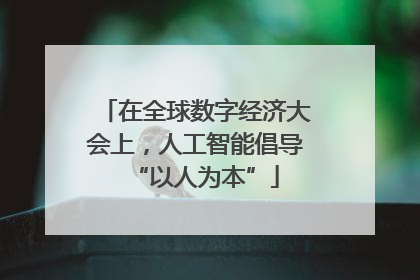 在全球数字经济大会上，人工智能倡导“以人为本”