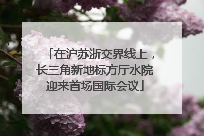 在沪苏浙交界线上，长三角新地标方厅水院迎来首场国际会议